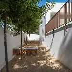 Magnolia *